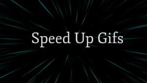 gifsicle speed up gif